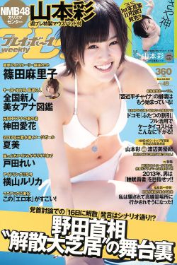 紫罗兰